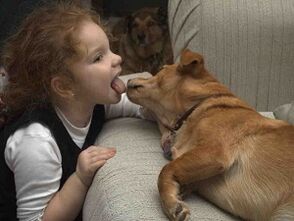 Un niño besa a un perro y se infecta de parásitos.