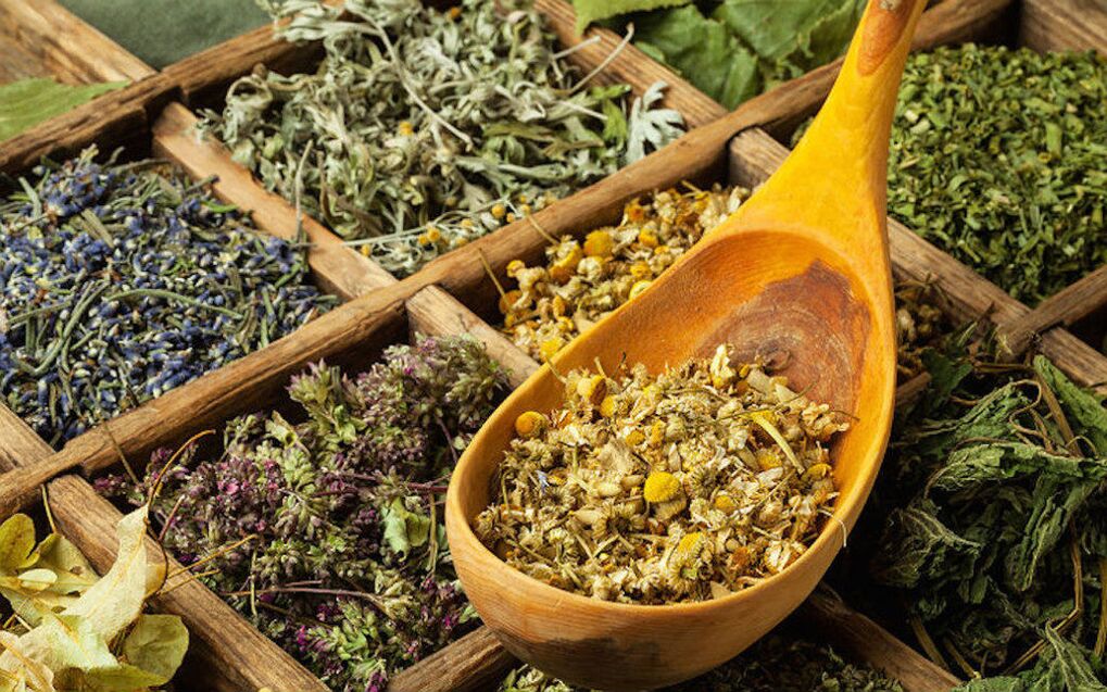 Hierbas secas para parásitos en el cuerpo.